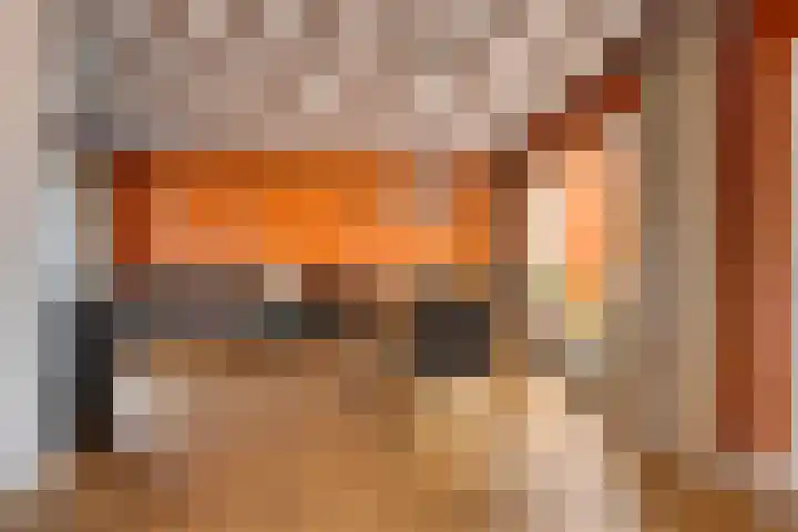 Torendreef 15 Bladel thumbnail 8