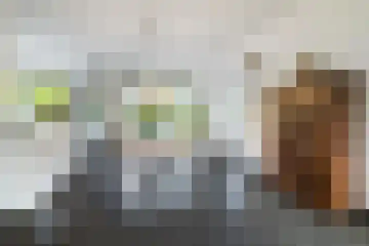 Torendreef 2 Ulvenhout thumbnail 11