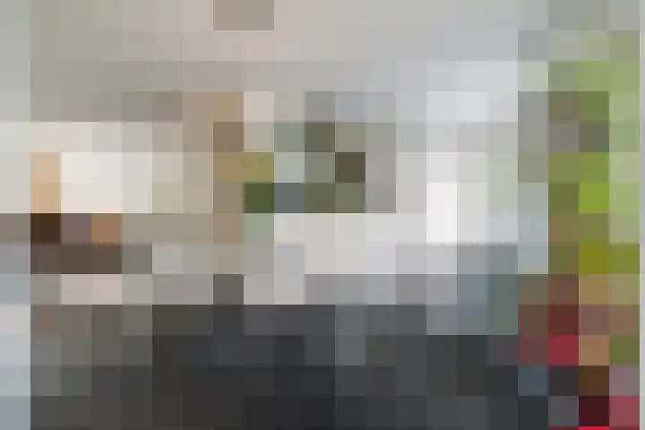 Torendreef 2 Ulvenhout thumbnail 12