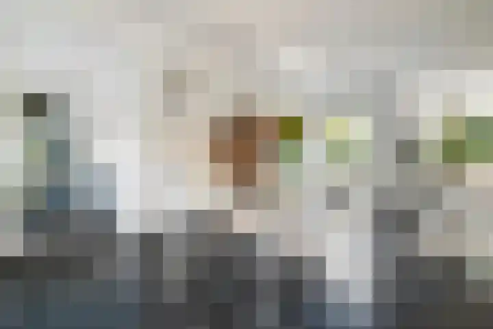 Torendreef 2 Ulvenhout thumbnail 13
