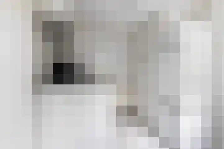 Torendreef 2 Ulvenhout thumbnail 19