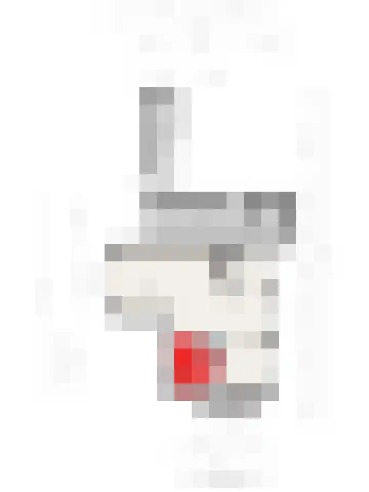Torendreef 2 Ulvenhout thumbnail 20