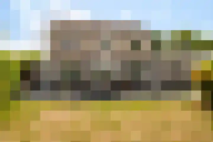 Torendreef 2 Ulvenhout thumbnail 21