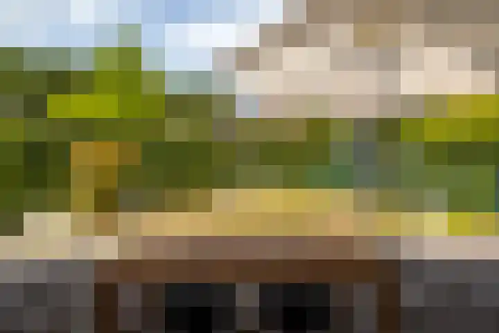 Torendreef 2 Ulvenhout thumbnail 22
