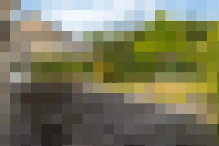 Torendreef 2 Ulvenhout thumbnail 23