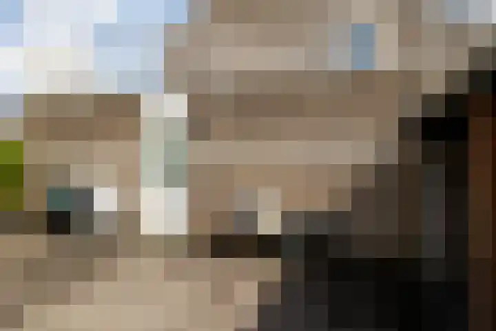 Torendreef 2 Ulvenhout thumbnail 25
