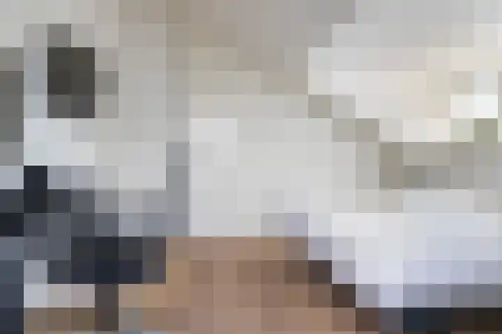 Torendreef 2 Ulvenhout thumbnail 36