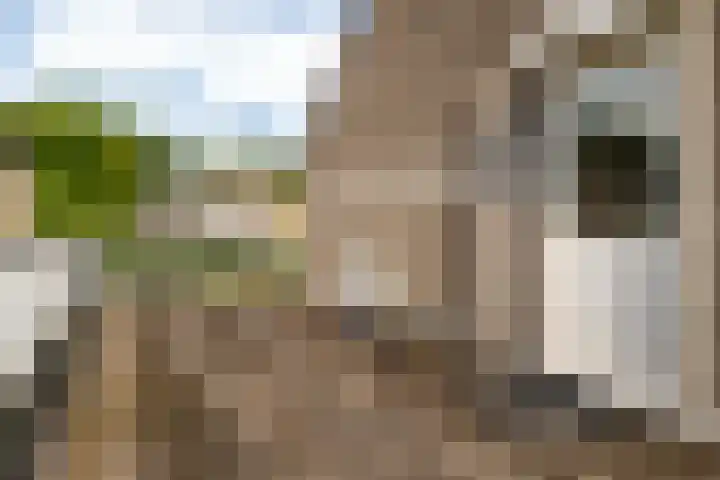 Torendreef 2 Ulvenhout thumbnail 38