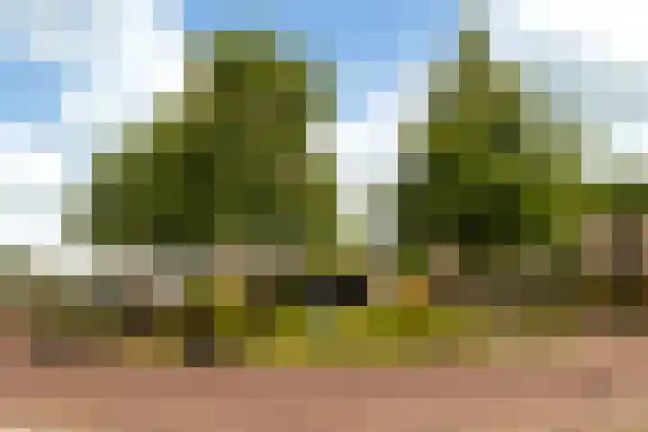 Torendreef 2 Ulvenhout thumbnail 42
