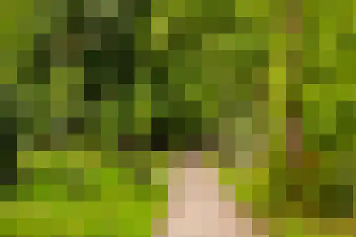 Torendreef 2 Ulvenhout thumbnail 43