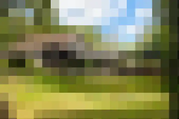 Torendreef 2 Ulvenhout thumbnail 44