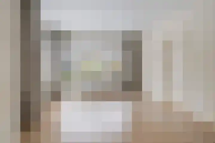 Torenes 10 Borger thumbnail 13