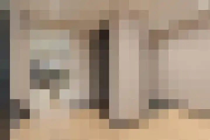 Torenes 11 Borger thumbnail 10