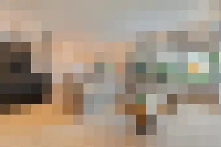 Torenes 11 Borger thumbnail 11