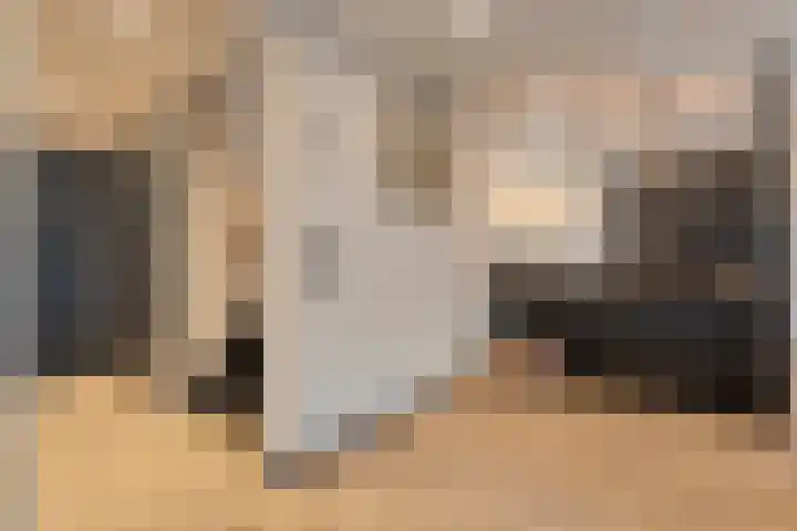 Torenes 11 Borger thumbnail 12