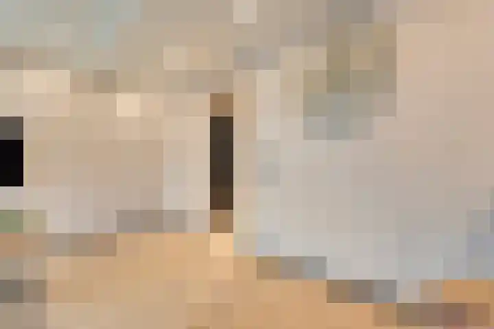 Torenes 11 Borger thumbnail 14