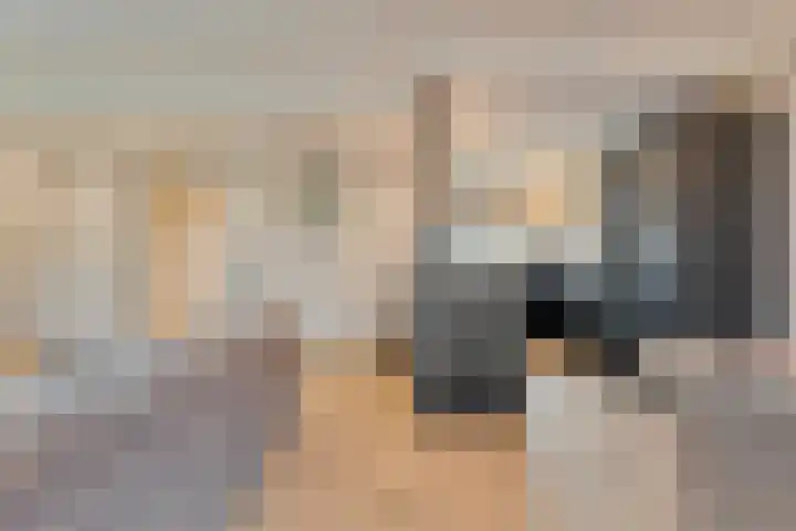 Torenes 11 Borger thumbnail 15