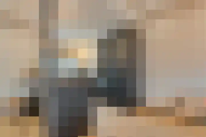 Torenes 11 Borger thumbnail 18