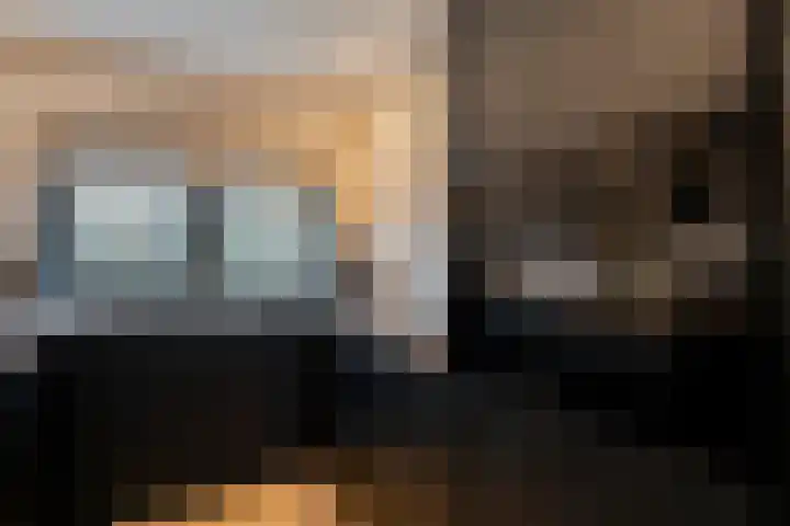 Torenes 11 Borger thumbnail 20