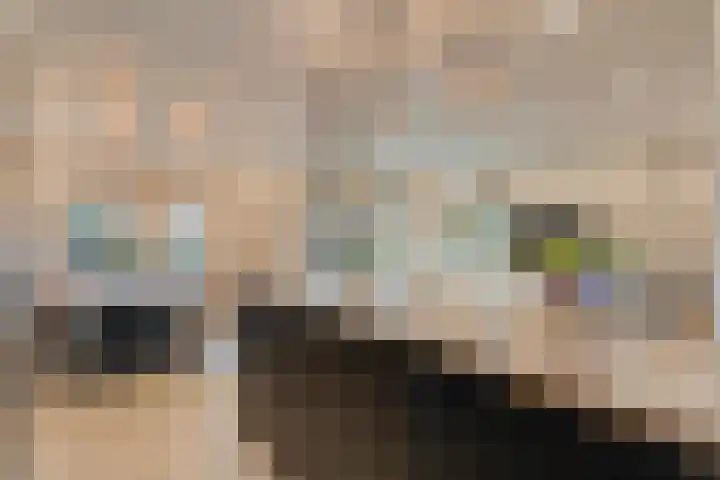 Torenes 11 Borger thumbnail 21