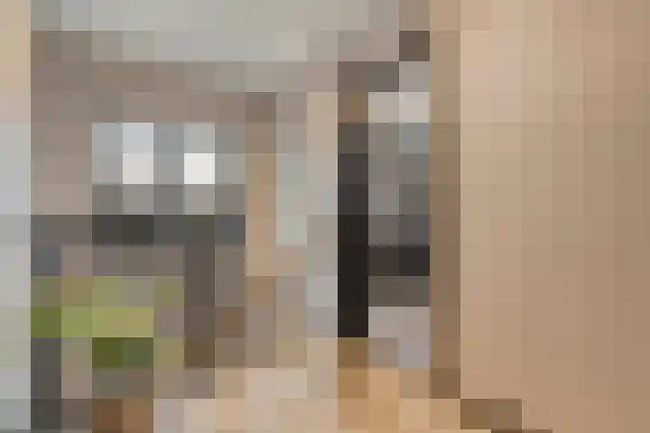 Torenes 11 Borger thumbnail 23