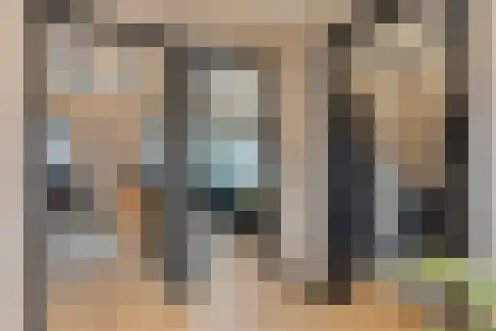 Torenes 11 Borger thumbnail 24