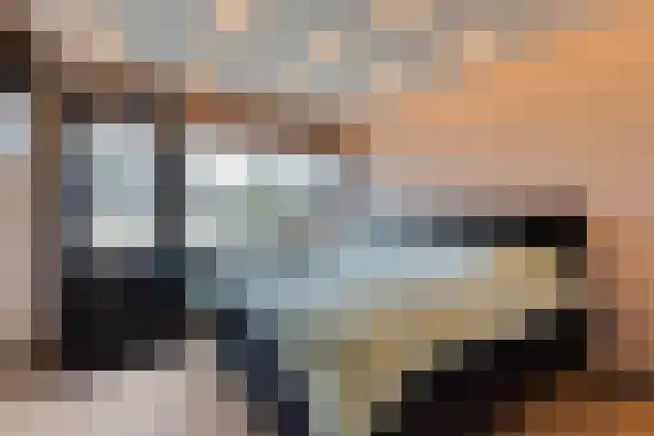 Torenes 11 Borger thumbnail 25