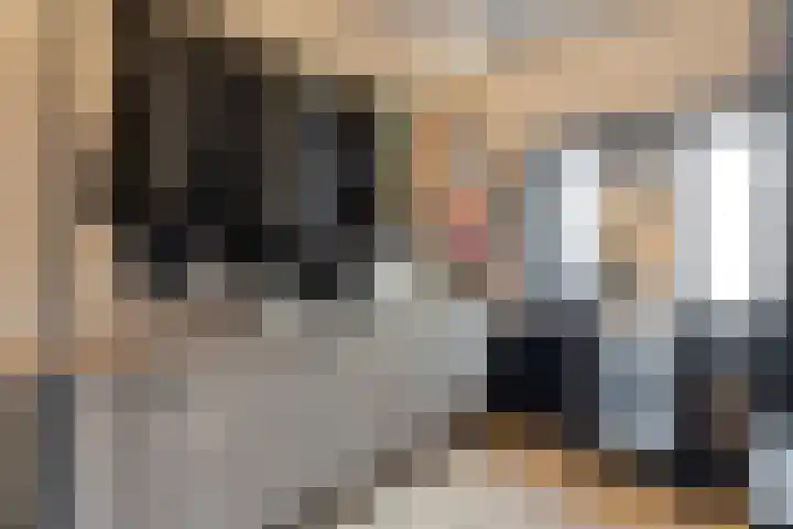 Torenes 11 Borger thumbnail 29