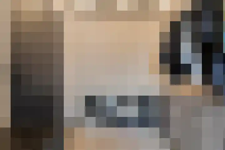 Torenes 11 Borger thumbnail 30