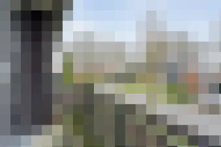 Torenes 11 Borger thumbnail 31