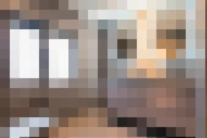 Torenes 11 Borger thumbnail 32