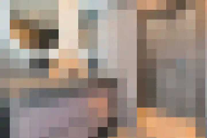 Torenes 11 Borger thumbnail 33