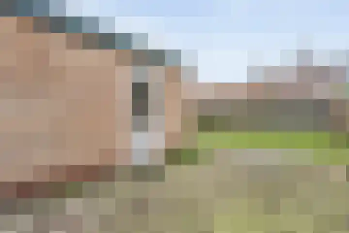 Torenes 11 Borger thumbnail 36