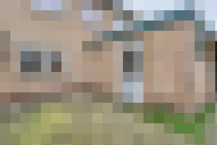 Torenes 11 Borger thumbnail 37