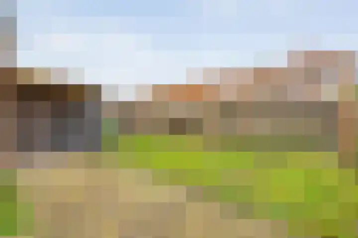 Torenes 11 Borger thumbnail 38