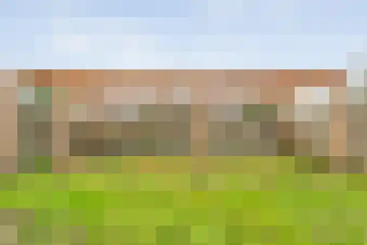 Torenes 11 Borger thumbnail 39