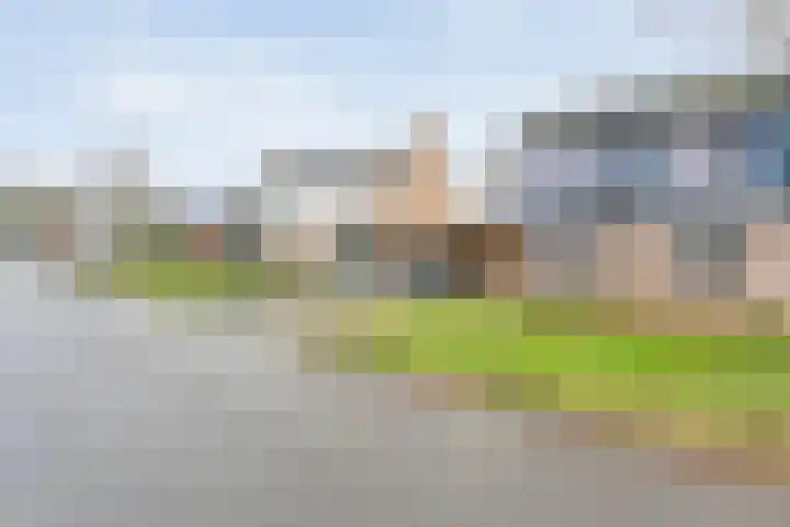 Torenes 11 Borger thumbnail 4
