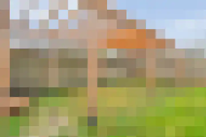 Torenes 11 Borger thumbnail 40