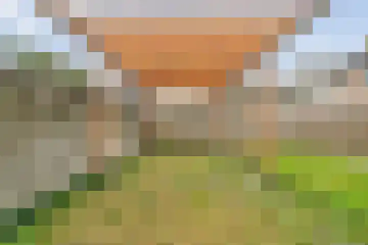 Torenes 11 Borger thumbnail 41
