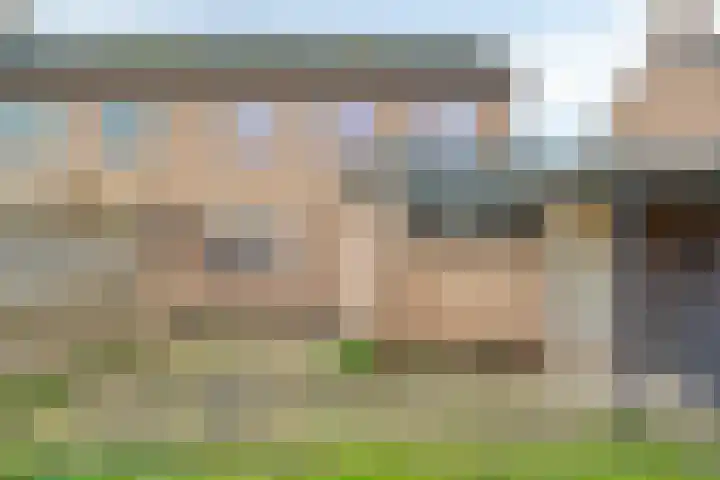 Torenes 11 Borger thumbnail 43