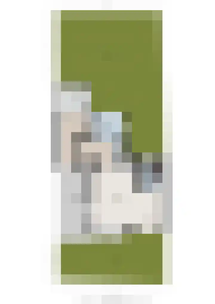 Torenes 11 Borger thumbnail 48