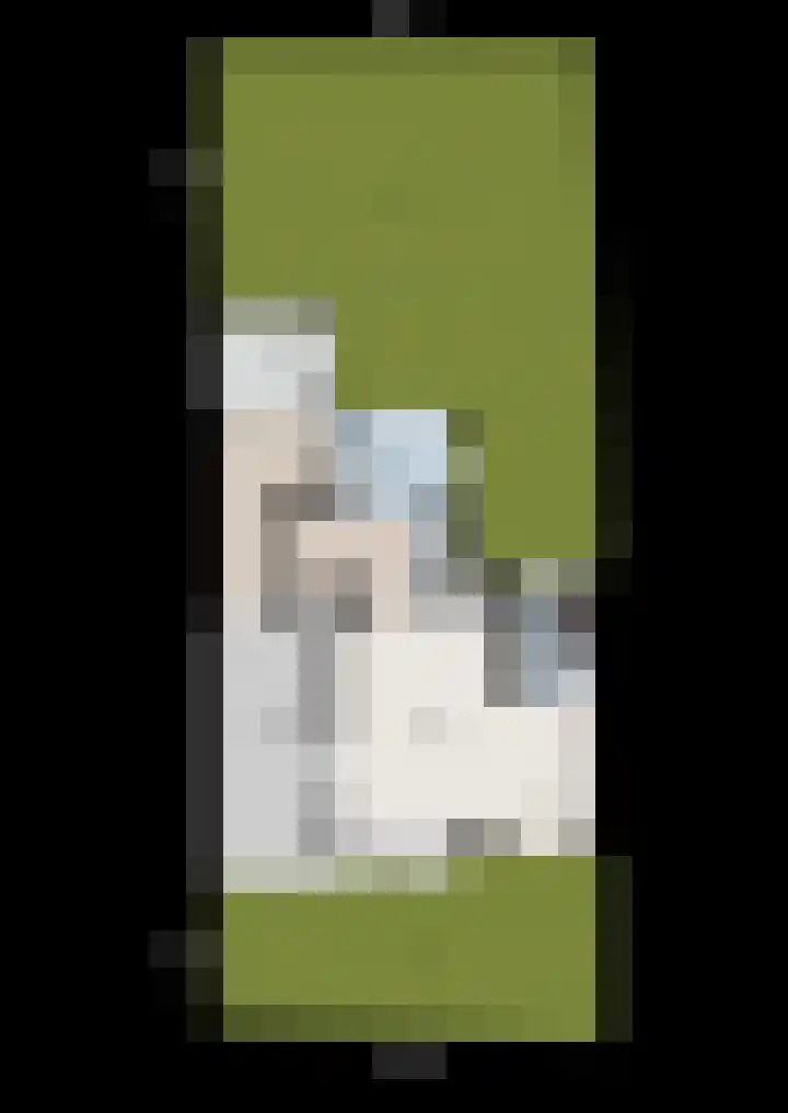 Torenes 11 Borger thumbnail 49