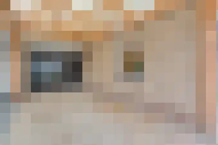 Torenes 11 Borger thumbnail 5