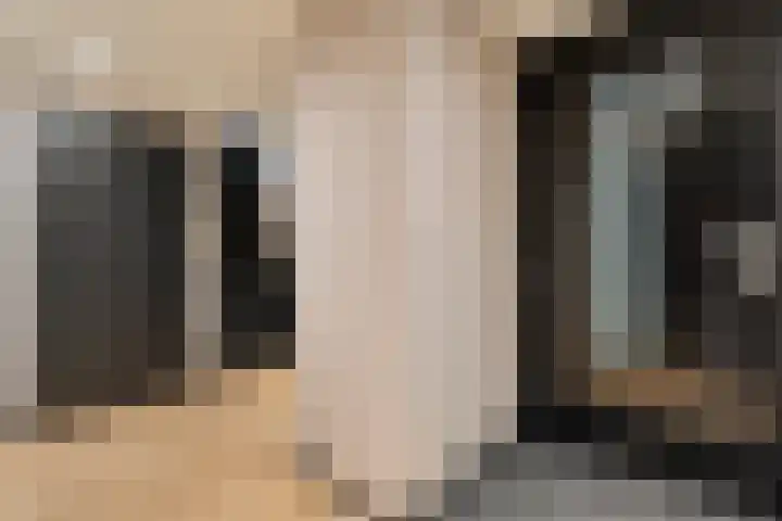 Torenes 11 Borger thumbnail 7