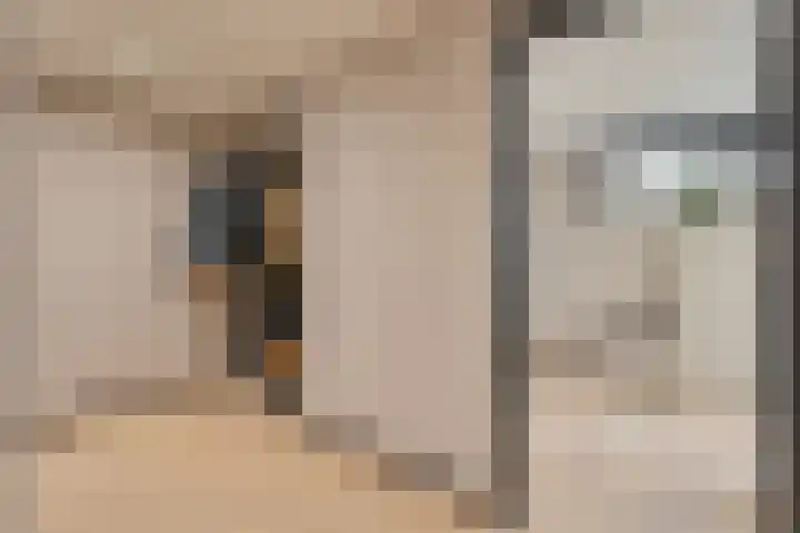 Torenes 11 Borger thumbnail 8
