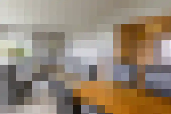 Torenes 15 Borger thumbnail 22
