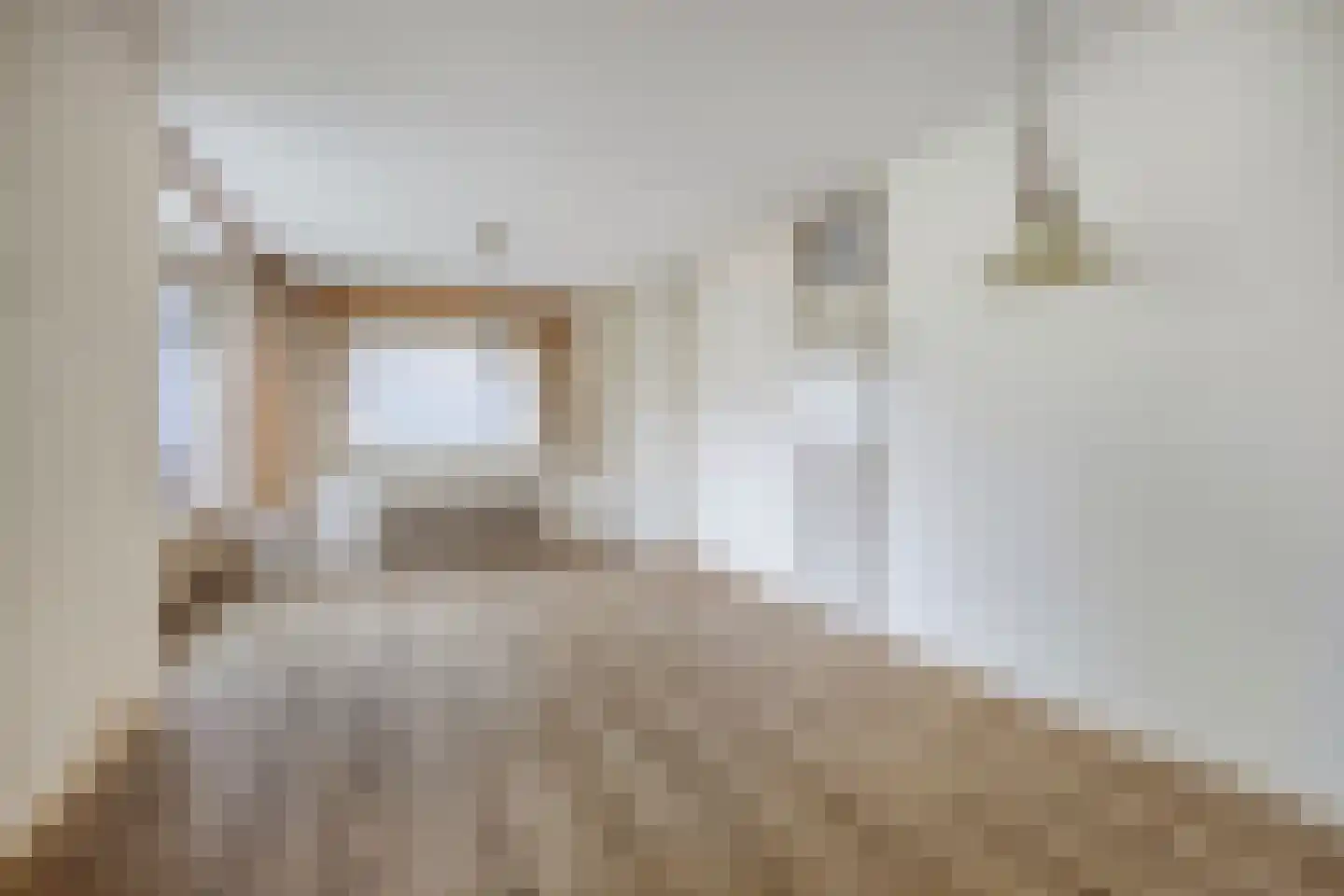 Torenes 20 Borger thumbnail 10