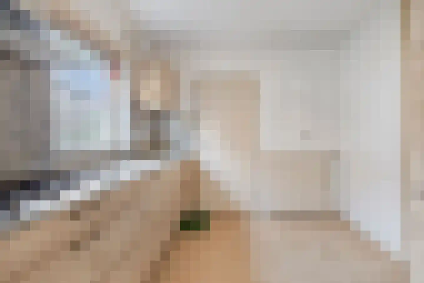 Torenes 20 Borger thumbnail 12