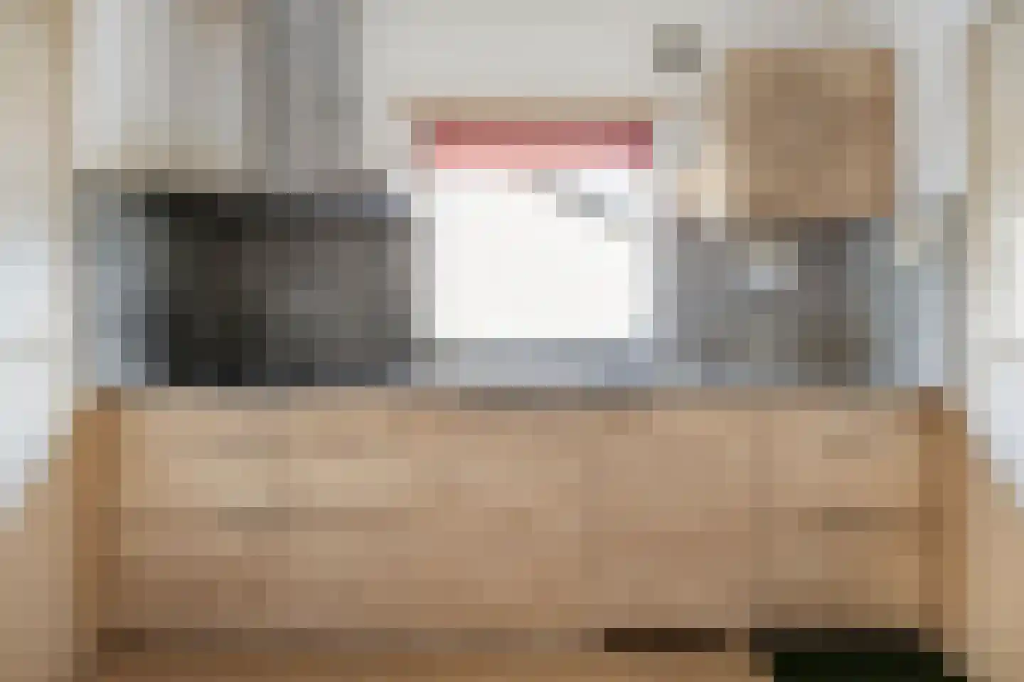 Torenes 20 Borger thumbnail 13