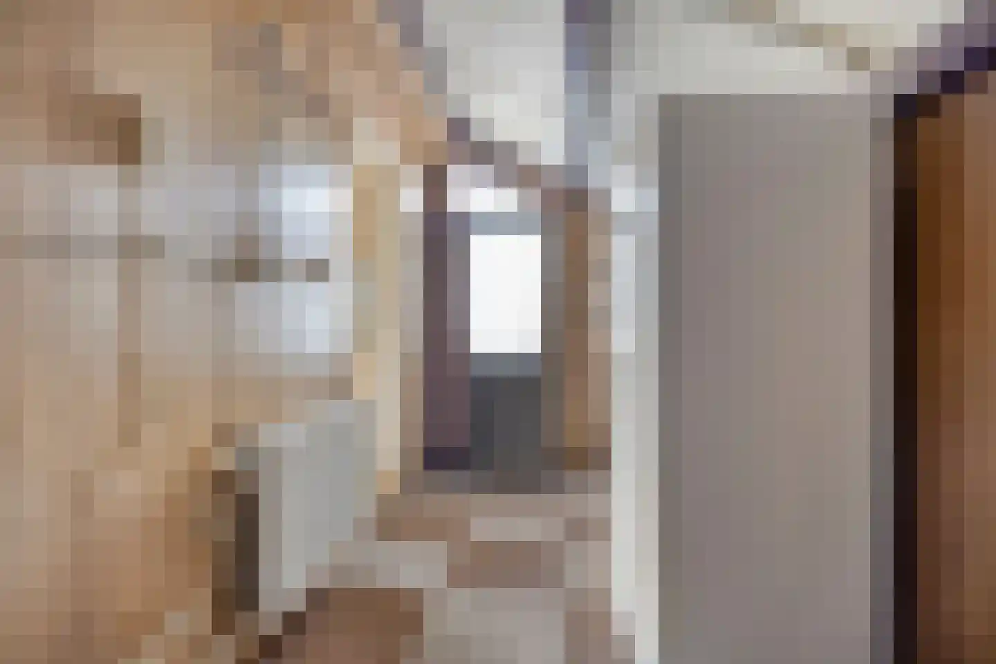 Torenes 20 Borger thumbnail 14